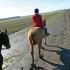 Longreen Hunt in the Delta